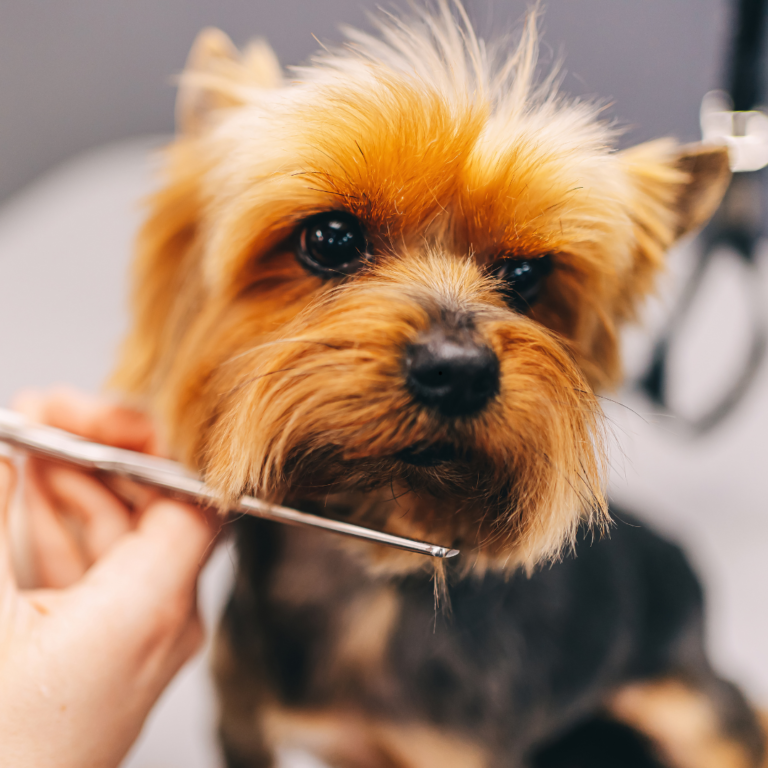 Diseño sin título (23)